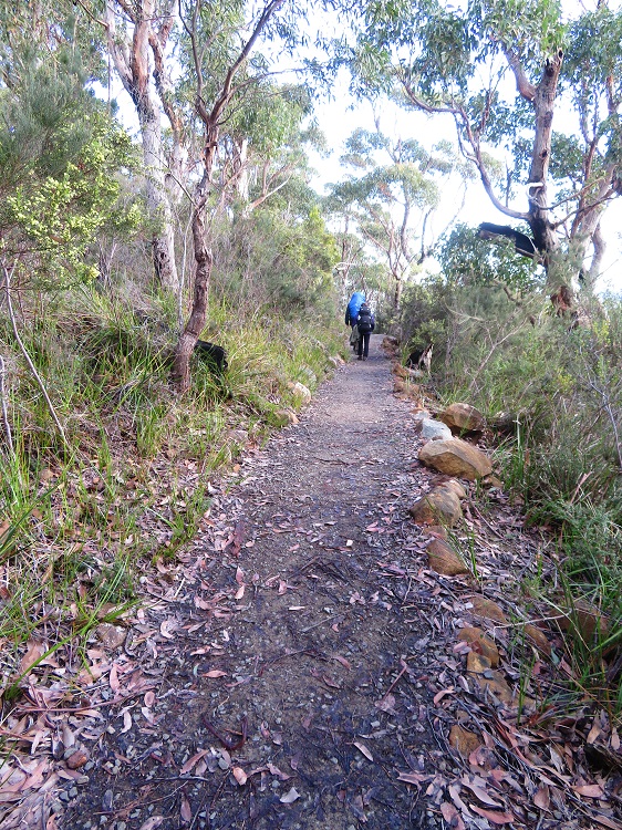 Three Capes Track, Tasmania