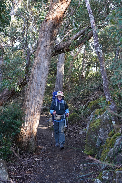 Walking on the Three Capes Track, Tasmania