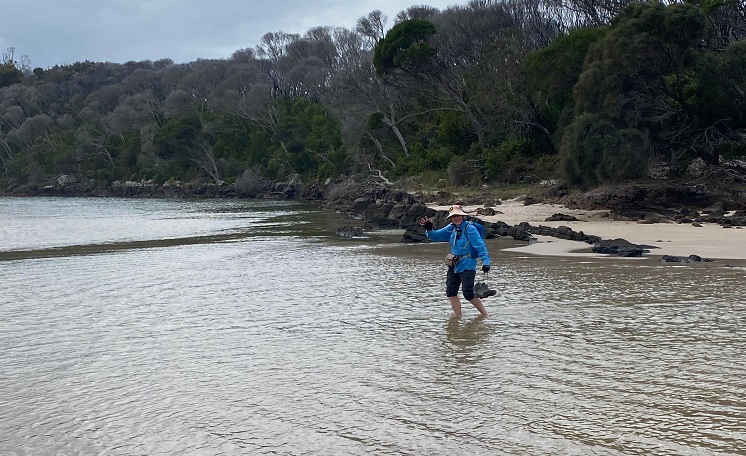 Crossing Saltwater Creek on the Light to Light Walk, Eden NSW