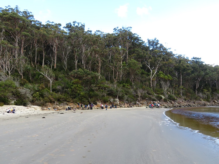 Denmans Cove, Three Capes Track, Tasmania