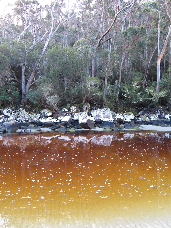 Denmans Cove, Three Capes Track, Tasmania