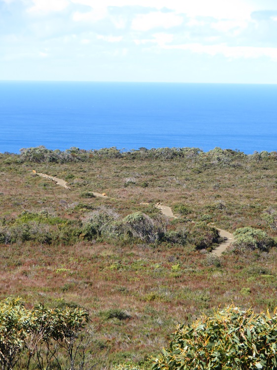 Across the Ellarwey Valley, Three Capes Track, Tasmania