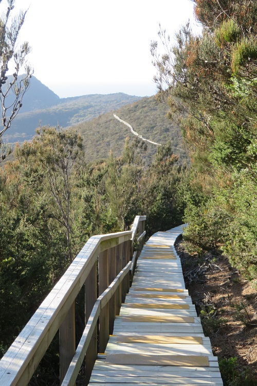 Boardwalks on the way to Cape Pillar, Three Capes Track, Tasmania