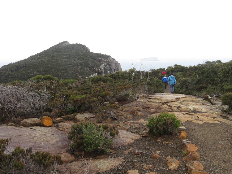 Misty views, Three Capes Track, Tasmania