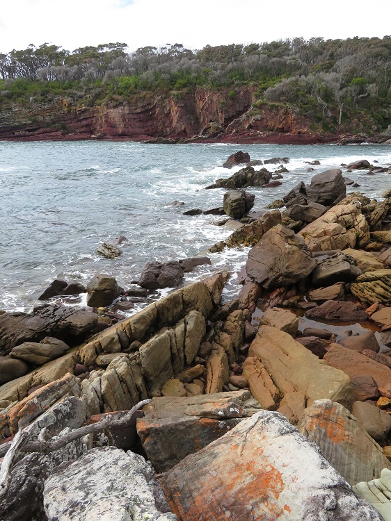 Ocean views on the Light to Light Walk, Eden NSW