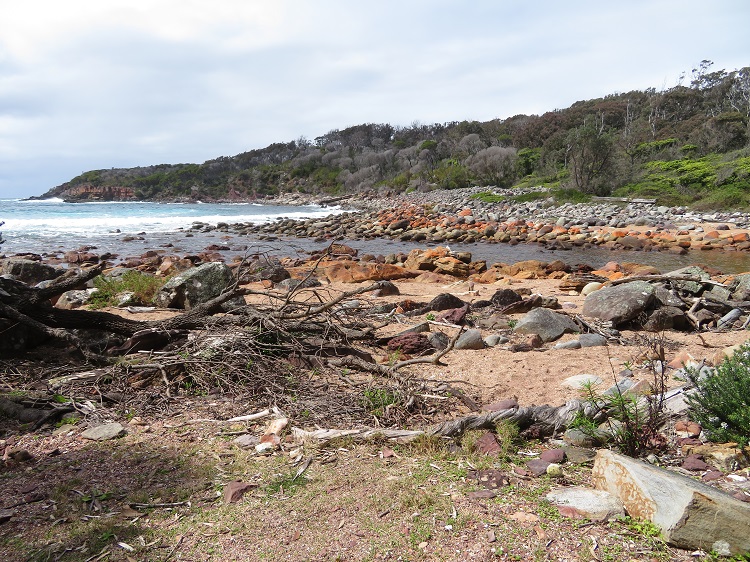 Coastal views on the Light to Light Walk, Eden NSW