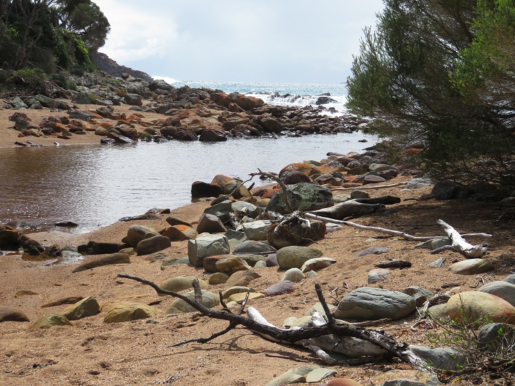 Coastal Views on the Light to Light Walk, Eden NSW