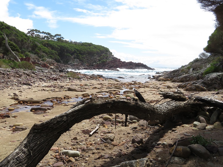 Coastal Views on the Light to Light Walk, Eden NSW