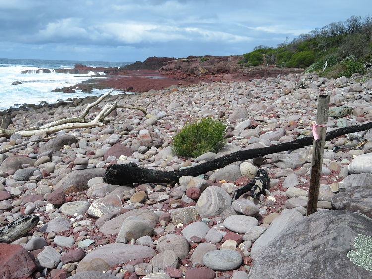 Stunning coastal views, Beowa National Park, Eden NSW