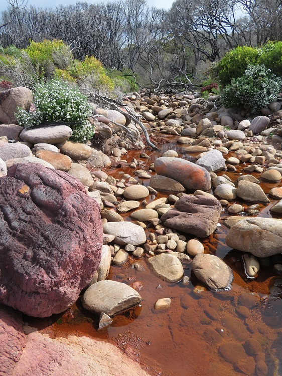 A rocky stream, Beowa National Park, Eden NSW