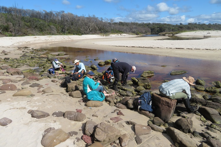 Looking out to sea at Saltwater Creek on the Light to Light Walk, Beowa National Park