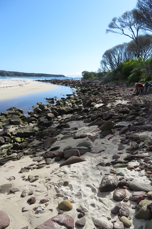 Looking out to sea at Saltwater Creek on the Light to Light Walk, Beowa National Park