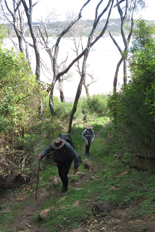 Up the hill from Saltwater Creek on the Light to Light Walk, Beowa National Park