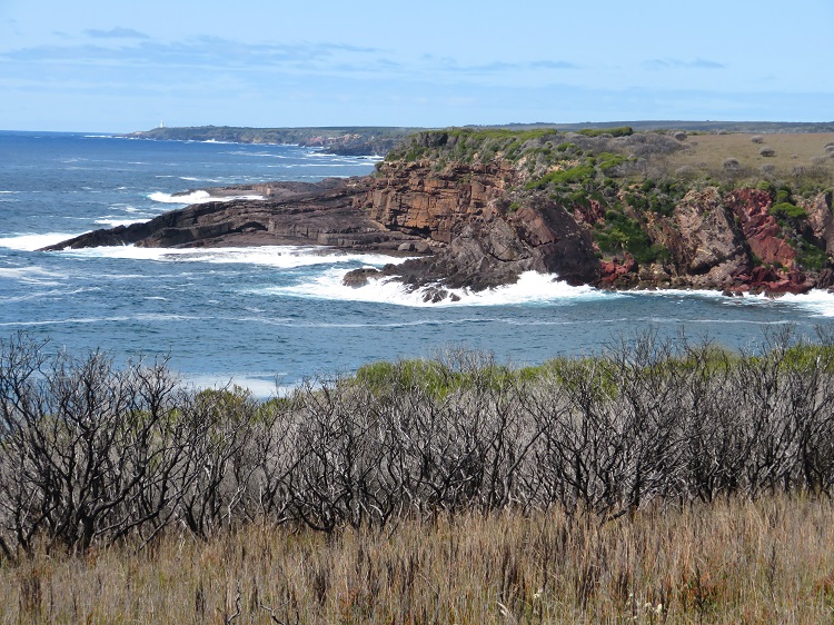 Ocean views on the Light to Light Walk, Beowa National Park