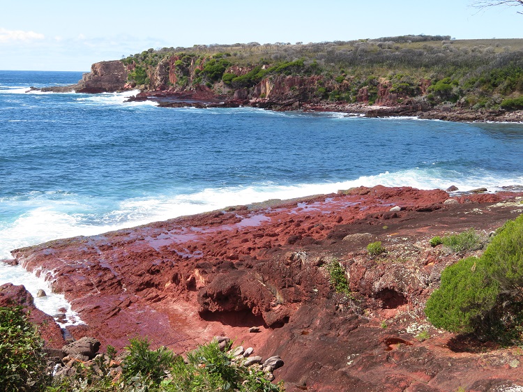 Ocean views on the Light to Light Walk, Beowa National Park
