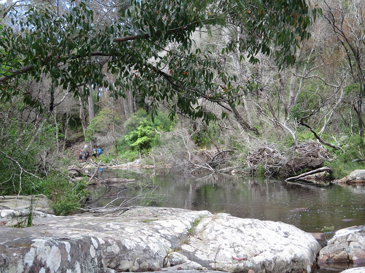 Bittangabee Creek on the Light to Light Walk, Beowa National Park