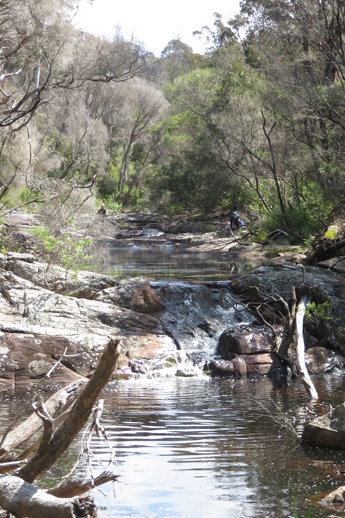 Bittangabee Creek on the Light to Light Walk, Beowa National Park