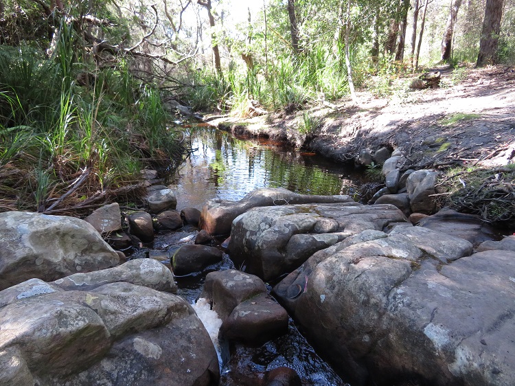 Path and terrain on the Light to Light Walk through Beowa National Park, Eden