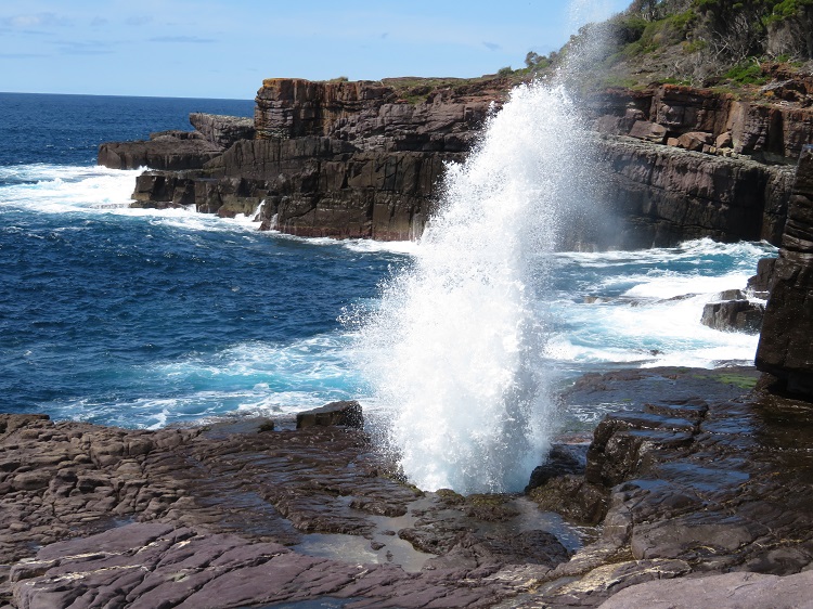 The Blow Hole on the Light to Light Walk through Beowa National Park, Eden