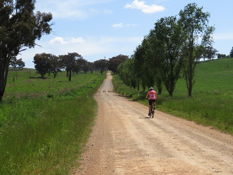 Our first big hill on Wilbertree Road on the Central West Cycle Trail
