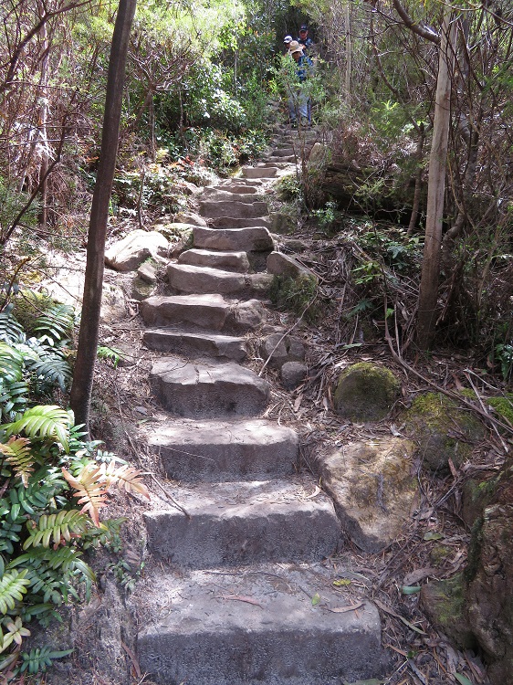 The Grand Canyon Track, Blackheath, Blue Mountains