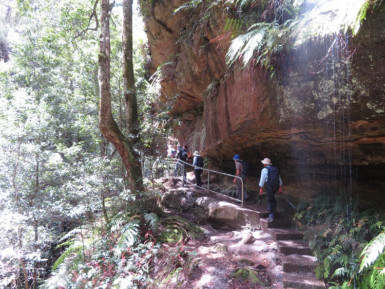 The Grand Canyon Track, Blackheath, Blue Mountains.