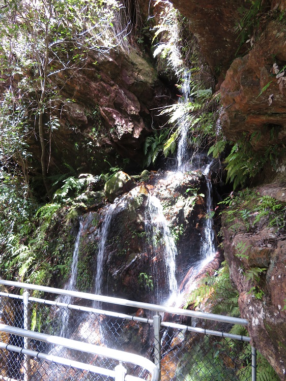 The Grand Canyon Track, Blackheath, Blue Mountains.