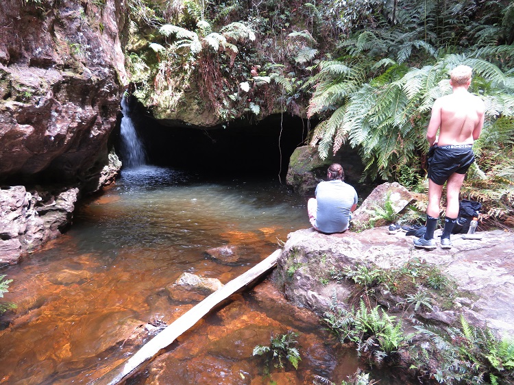 The Grand Canyon Track, Blackheath, Blue Mountains.