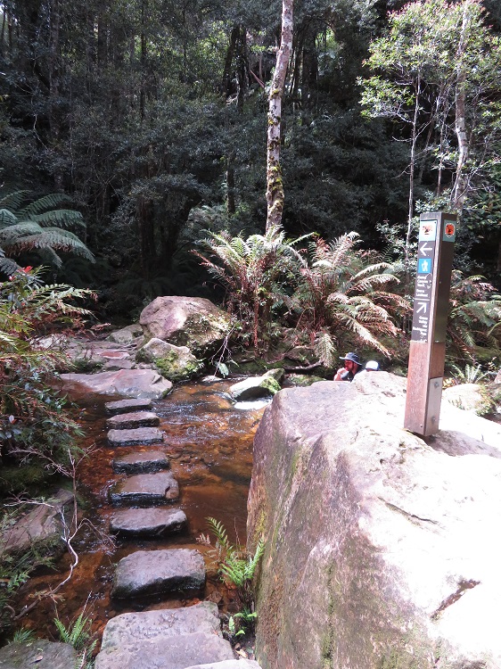 The Grand Canyon Track, Blackheath, Blue Mountains.