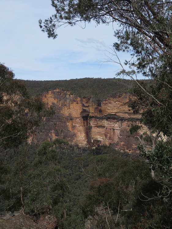 The Grand Canyon Track, Blackheath, Blue Mountains.