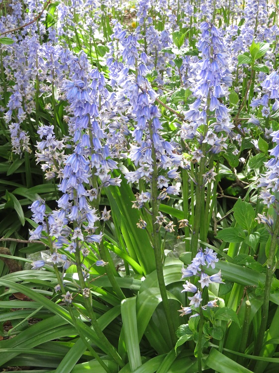 The Hydro Majestic Hotel, Medlow Bath, Blue Mountains.