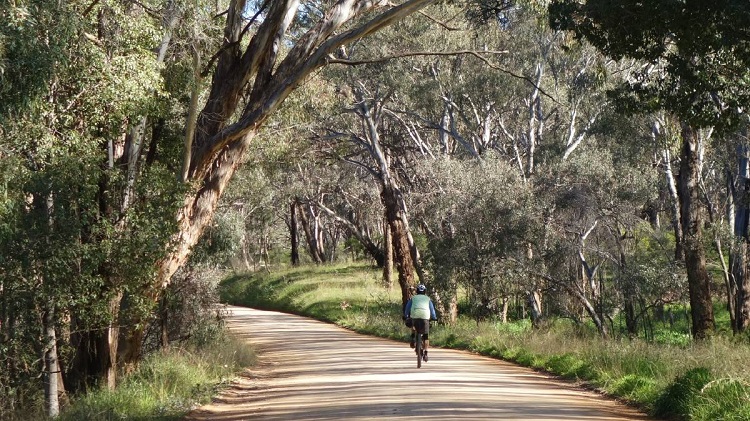 Cycling the Central West Cycle Trail. Source: Mudgee Guardian