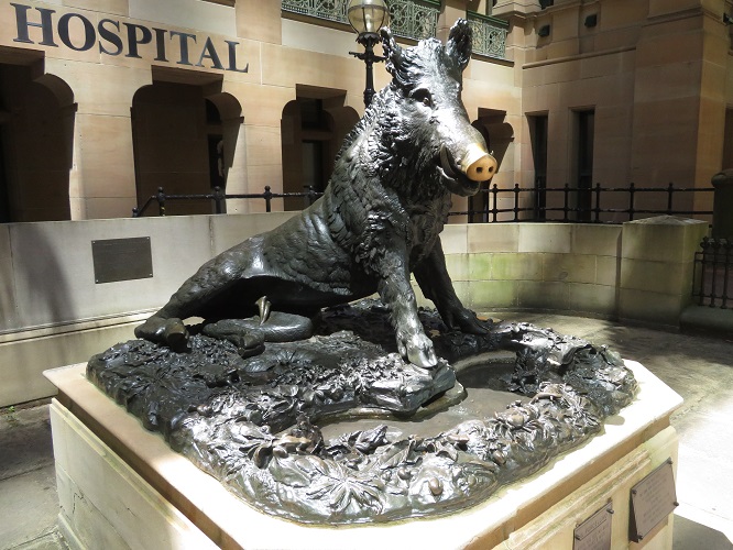 The Little Pig, Sydney Hospital
