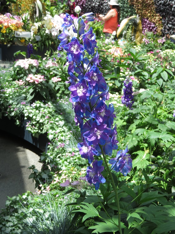 Love Your Nature Display at Sydney Royal Botanic Gardens