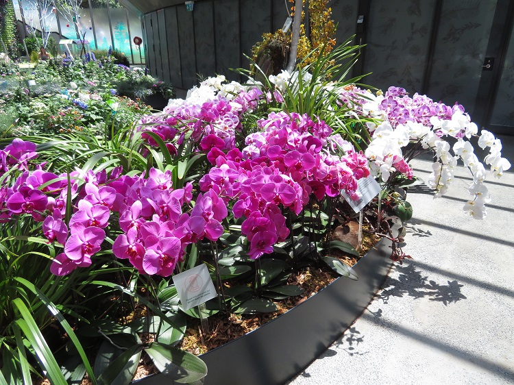 Love Your Nature Display at Sydney Royal Botanic Gardens