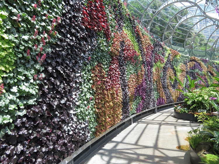 Love Your Nature Display at Sydney Royal Botanic Gardens