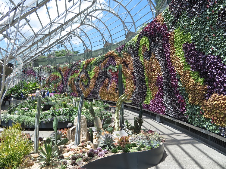 Love Your Nature Display at Sydney Royal Botanic Gardens