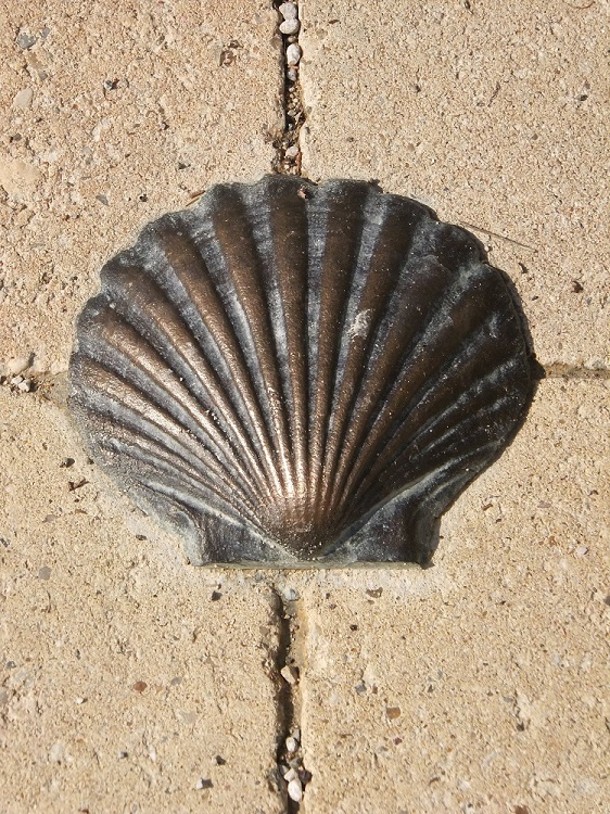 A bronze camino shell embedded in the footpath