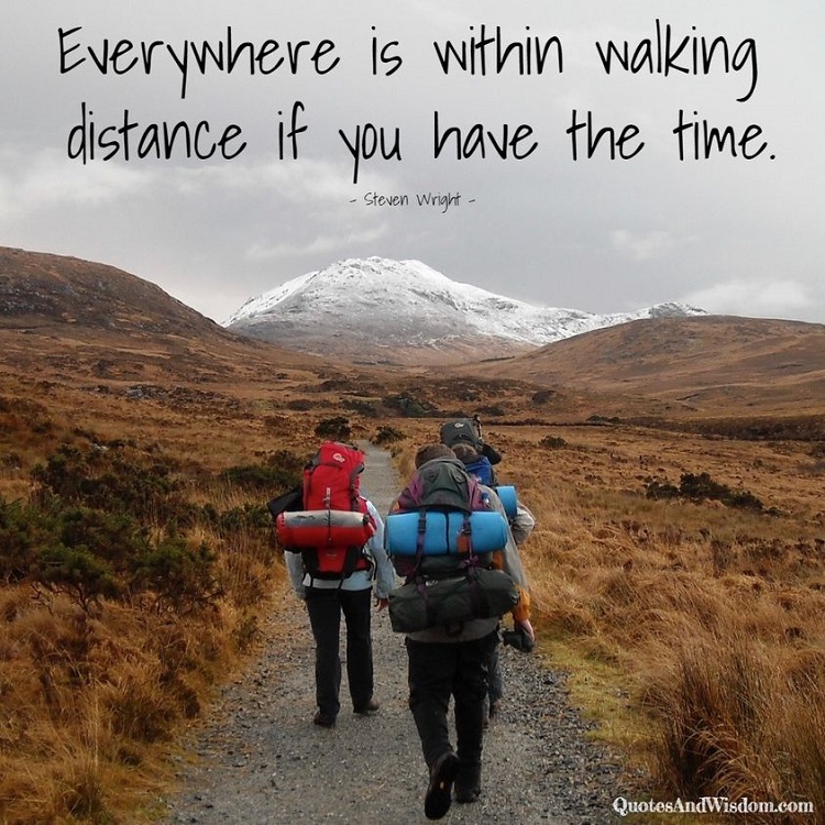 Meme: Everything in walking distance