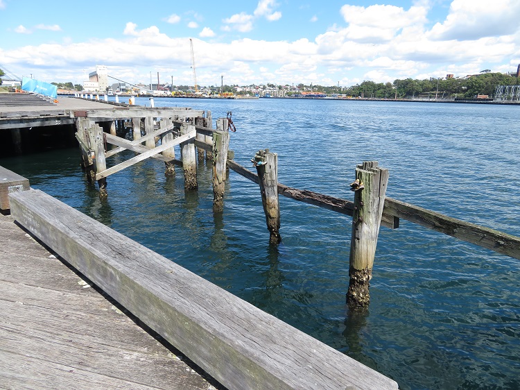Water views from Pirrama Park, Pyrmont