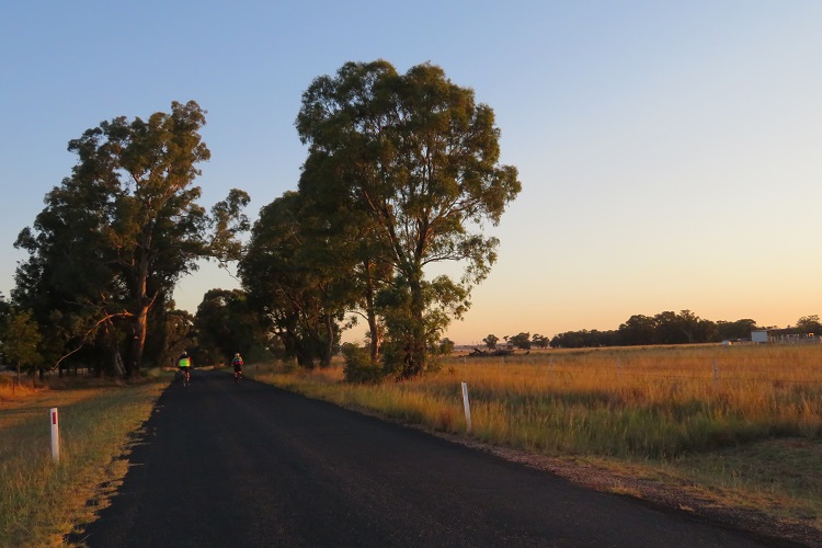 Early morning light - just North of Gulgong.