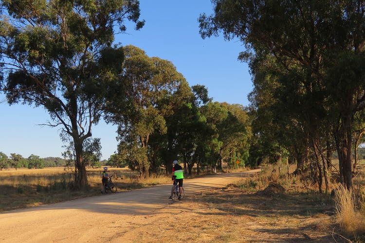 A drinks break - just North of Gulgong