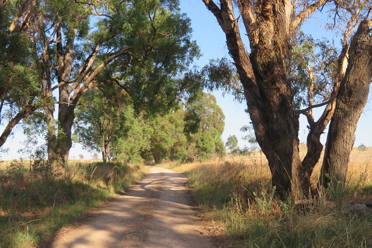 More pleasant back roads - on the way to Birriwa