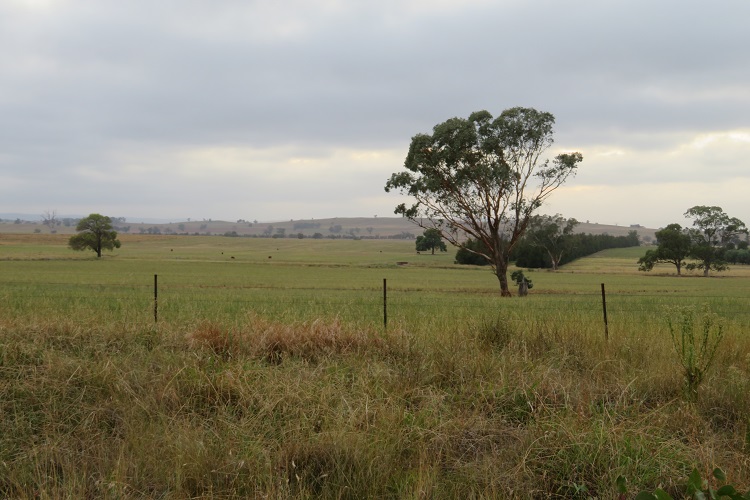 Country views on Day 3 of the Central West Cycle Trail