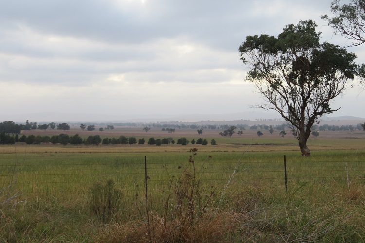 Country views on Day 3 of the Central West Cycle Trail