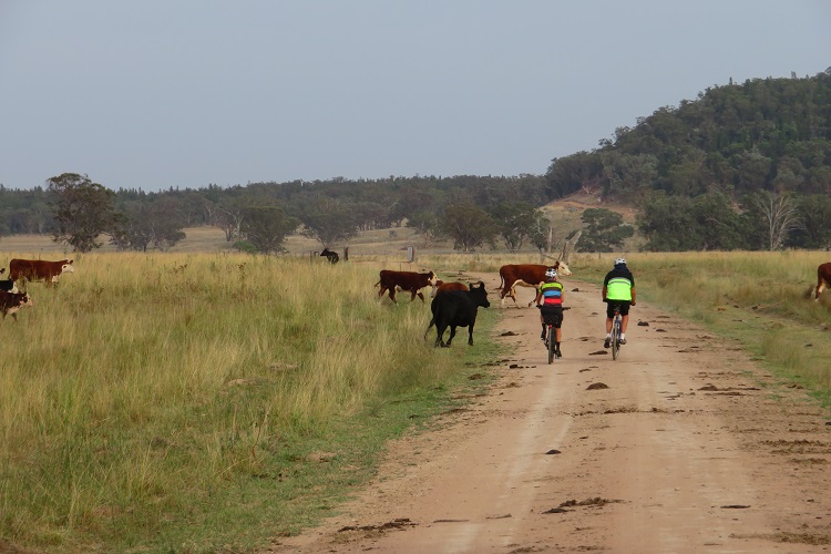 Day 3 of the Central West Cycle Trail