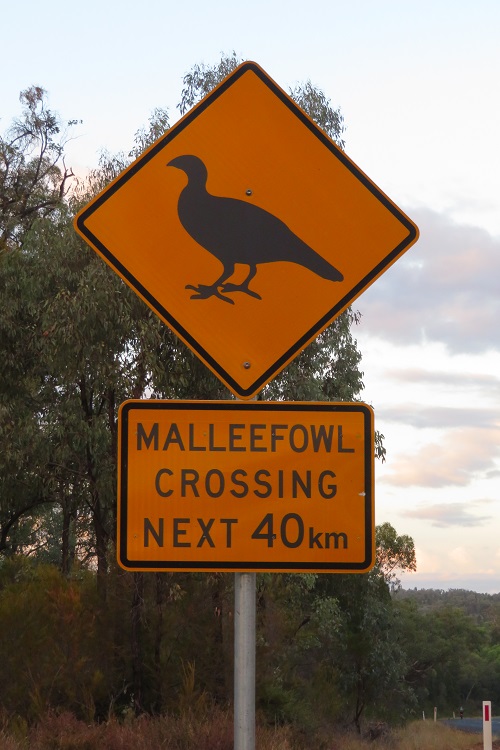 A mallee fowl crossing sign on the road to Dubbo