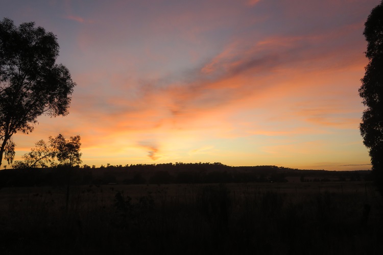 Golden sunrise on the way to Wellington