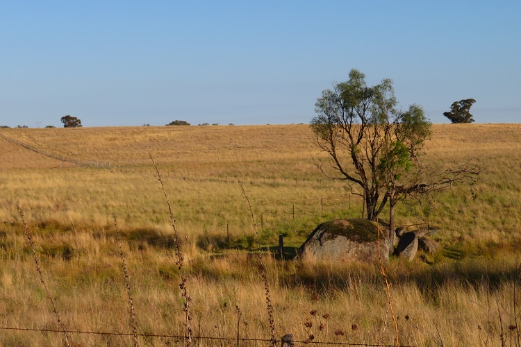 Views across paddocks in the Wellington area on the Central West Cycle Trail