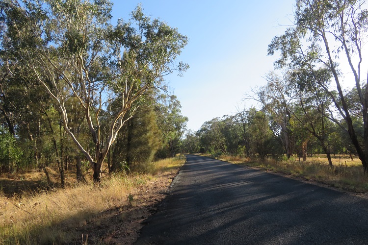 Views across paddocks in the Wellington area on the Central West Cycle Trail